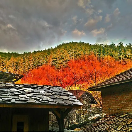Guest house Vodenicharovata *